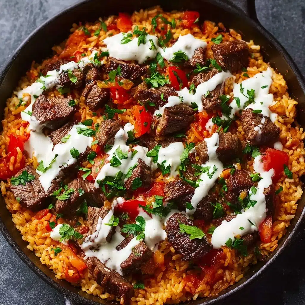 Steak Queso Rice Recipe
