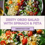 Orzo Salad Recipe