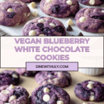 Blueberry Cookies Recipe