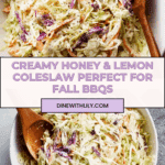 Best Coleslaw Recipe