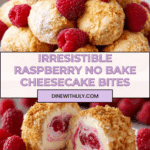Raspberry No Bake Cheesecake Bites Recipe