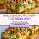Salmon Crispy Rice Recipe