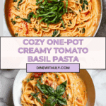 Easy One Pot Creamy Tomato Pasta Recipe