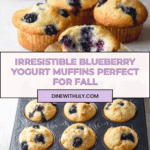 Blueberry Yogurt Muffins Recipe