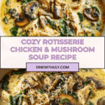 Rotisserie Chicken Mushroom Soup Recipe