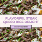 Steak Queso Rice Recipe