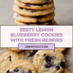 Lemon Blueberry Cookies Recipe