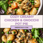 Stir in chicken and peas, adjust seasoning if needed, then ladle into bowls and serve Recipe