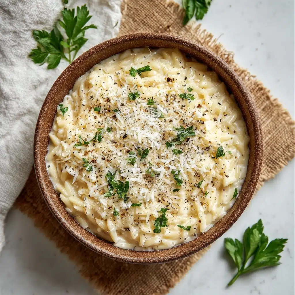 Creamy Garlic Parmesan Orzo Recipe - Recipe Image