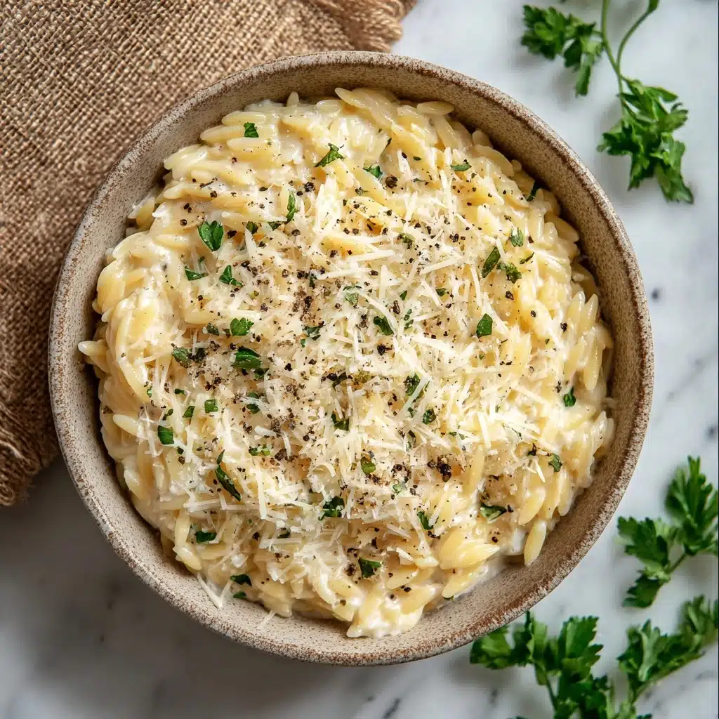 Creamy Garlic Parmesan Orzo Recipe