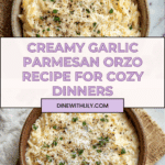 Creamy Garlic Parmesan Orzo Recipe