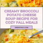 Broccoli Potato Cheese Soup Recipe