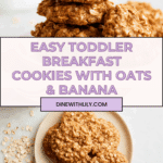 Healthy Oatmeal Toddler Breakfast Cookies Recipe