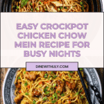 Crockpot Chicken Chow Mein Recipe